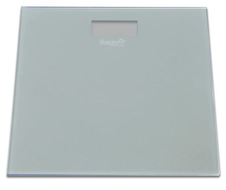 Picture for category Bathroom Scales