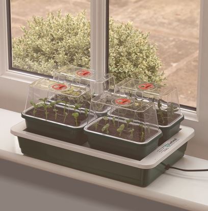 Garland-Fab-4-Electric-Propagator