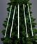 Premier-Snowing-Shower-Lights-150-White-LEDs