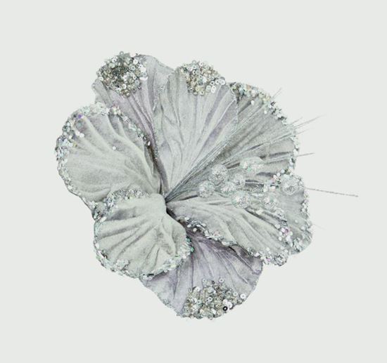 Premier-Hibiscus-Flower
