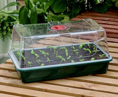 Garland-High-Dome-Propagator