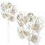Davies-Products-Palm-Stem-x-5