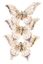 Premier-3-Piece-Butterfly-Clip