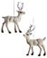 Premier-Flock-Deer