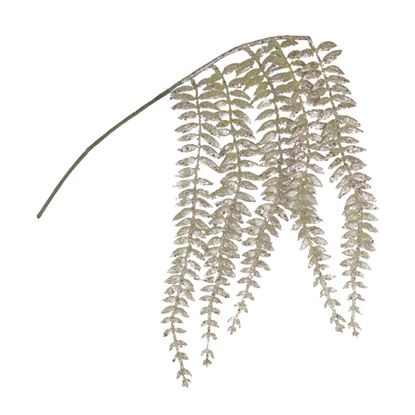 Davies-Products-5-Trailing-Fern