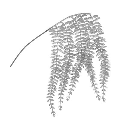 Davies-Products-5-Trailing-Fern