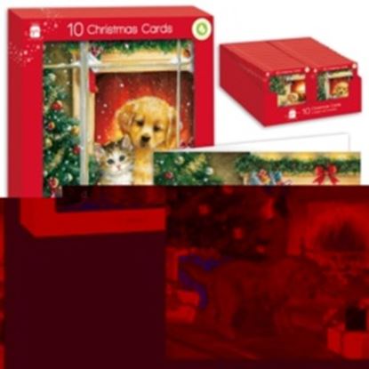 Ig-Design-Square-Kittens--Puppies