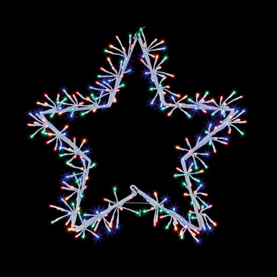 Premier-White-Star-Cluster