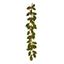 Premier-Holly-Leaf-Garland