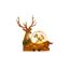 Premier-Lit-Reindeer--Robin-Water-Spinner
