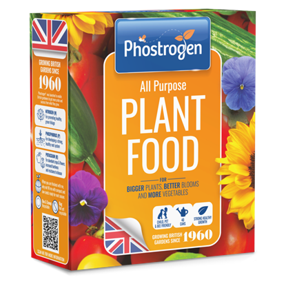 Phostrogen-All-Purpose-Plant-Food