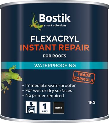 Bostik-Flexacryl-Instant-Waterproof-Compound