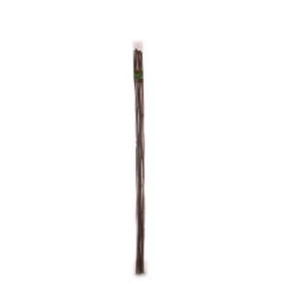 Ambassador-Bamboo-Canes