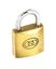 Securit-Tricircle-Brass-Padlock