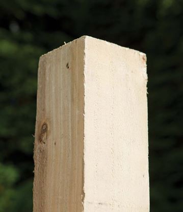 Pressure-Treated-Fence-Post