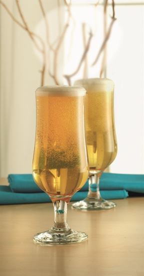 Rayware-Tulip-Pilsner-Glasses-x-4