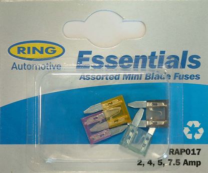 Ring-Mini-Blade-Fuses