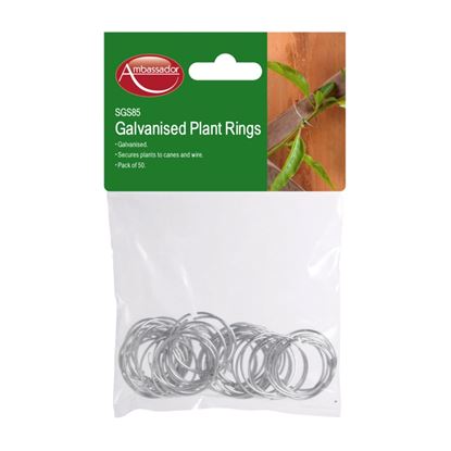 Ambassador-Galvanised-Plant-Rings