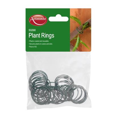 Ambassador-Coated-Plant-Rings