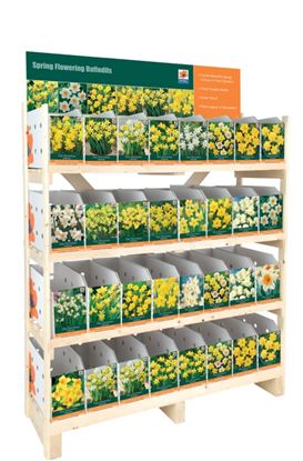 De-Ree-UK-Daffodil-Collection