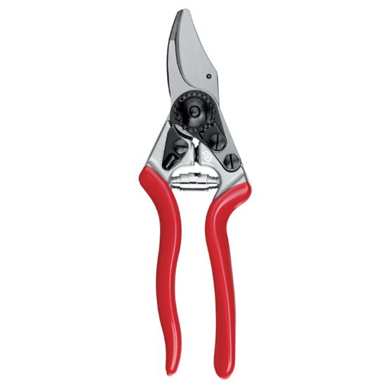 Felco-Secateurs