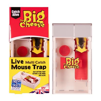 The-Big-Cheese-Multi-Catch-Mouse-Trap