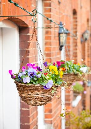 Ambassador-Rattan-Hanging-Basket