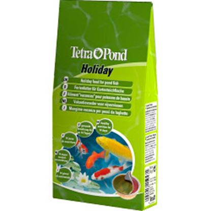 Tetra-Pond-Holiday