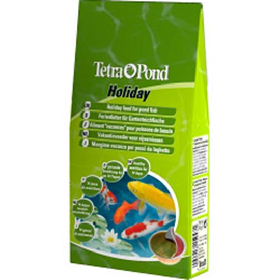 Tetra-Pond-Holiday