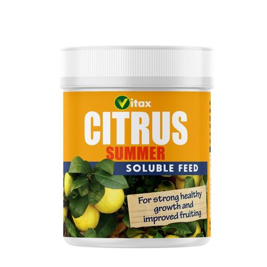 Vitax-Citrus-Feed---Summer