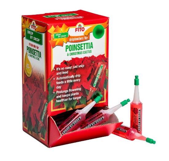 Fito-Drip-Feeders-For-Poinsettia--Christmas-Cactus