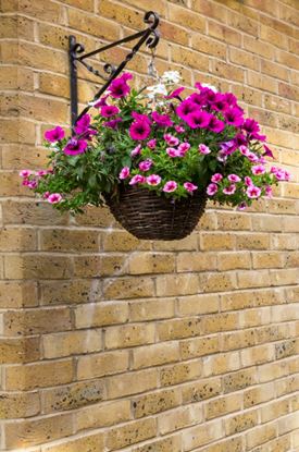 Ambassador-Willow-Hanging-Basket