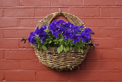 Ambassador-Rattan-Wall-Basket