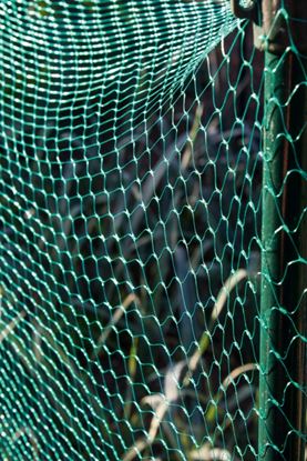 Ambassador-Garden-Net-Green