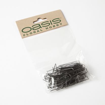 Oasis-German-Pins