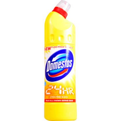 Domestos-Bleach-750ml