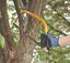 SupaTool-Bow-Saw-Blades-24