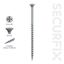 Securfix-Drywall-Screws