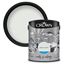 Crown-Walls--Ceilings-Matt-5L