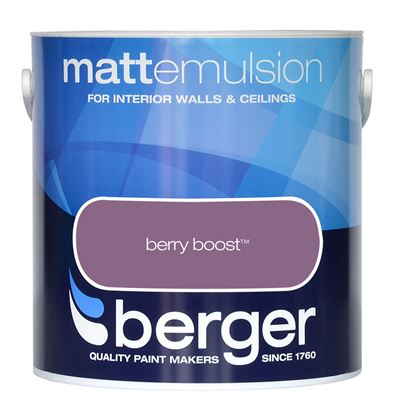 Berger-Matt-Emulsion-25L