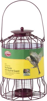 Ambassador-Wild-Birds-Nut-Feeder