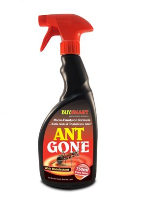 Buysmart-Ant-Gone