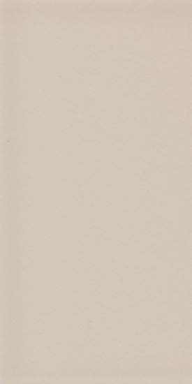 Johnson-Tiles-Savoy-Gloss-200-x-100-x-65mm