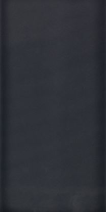 Johnson-Tiles-Savoy-Gloss-200-x-100-x-65mm