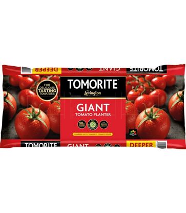 Levington-Tomorite-Giant-Planter