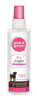 Pride--Groom-Dry-Shampoo-Spray