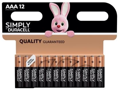 Duracell-Simply-Batteries