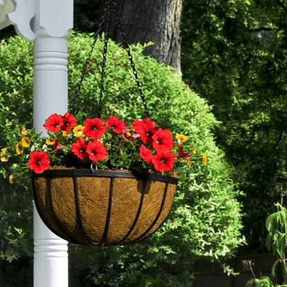 Ambassador-Flat-Bar-Hanging-Basket