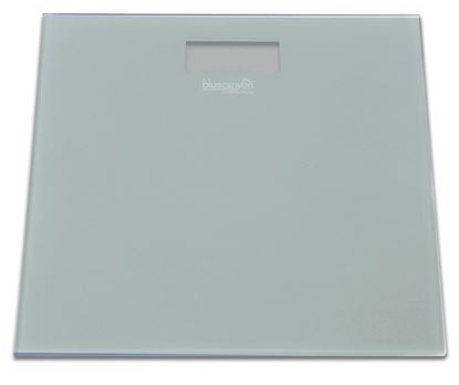 Blue-Canyon-S-Series-Digital-Bathroom-Scale