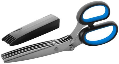 Judge-Herb-Scissors